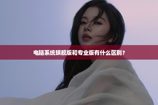 电脑系统旗舰版和专业版有什么区别？