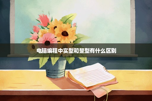 电脑编程中实型和整型有什么区别