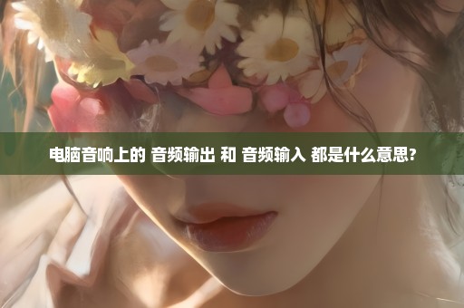 电脑音响上的 音频输出 和 音频输入 都是什么意思?