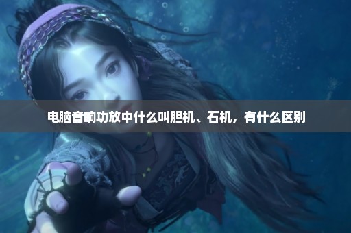 电脑音响功放中什么叫胆机、石机，有什么区别