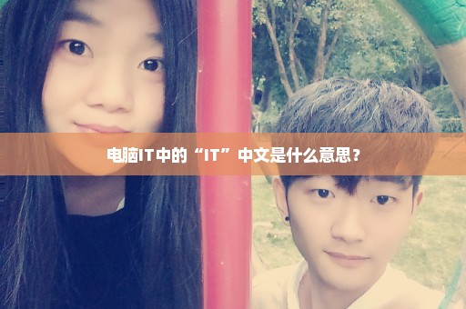 电脑IT中的“IT”中文是什么意思？