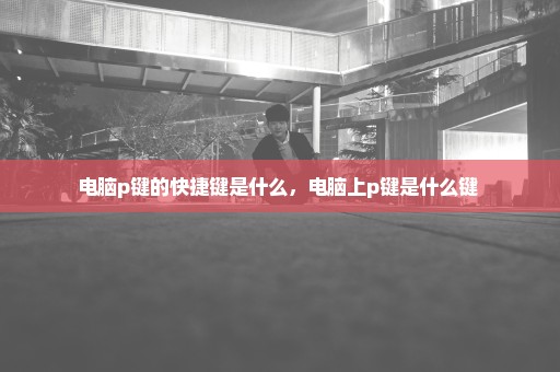 电脑p键的快捷键是什么，电脑上p键是什么键 