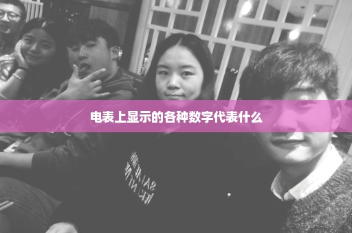 电表上显示的各种数字代表什么