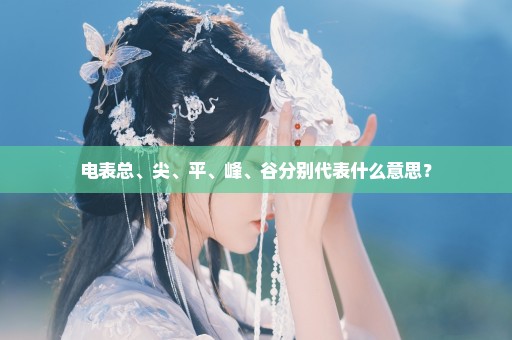 电表总、尖、平、峰、谷分别代表什么意思？
