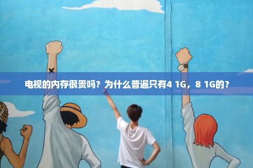 电视的内存很贵吗？为什么普遍只有4+1G，8+1G的？