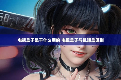 电视盒子是干什么用的 电视盒子与机顶盒区别