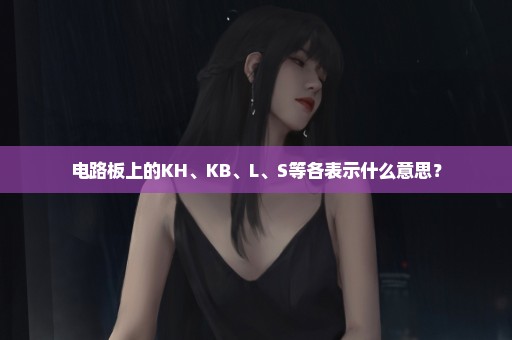 电路板上的KH、KB、L、S等各表示什么意思？