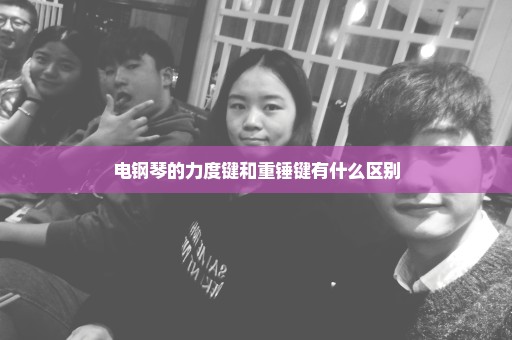 电钢琴的力度键和重锤键有什么区别