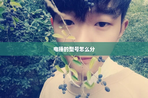 电锤的型号怎么分