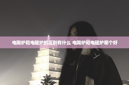电陶炉和电磁炉的区别有什么 电陶炉和电磁炉哪个好