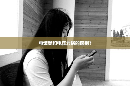 电饭煲和电压力锅的区别？