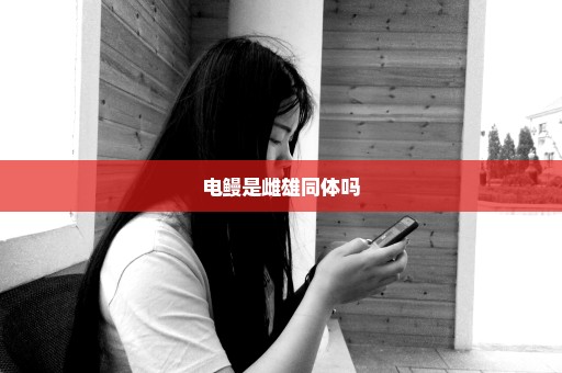 电鳗是雌雄同体吗