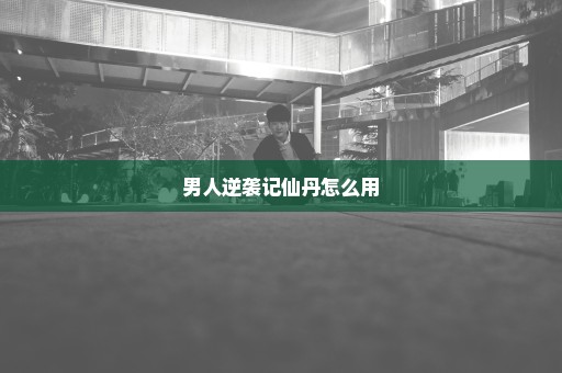 男人逆袭记仙丹怎么用