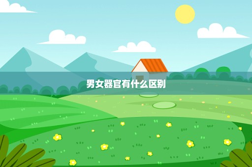 男女器官有什么区别