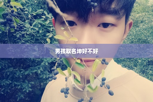 男孩取名坤好不好