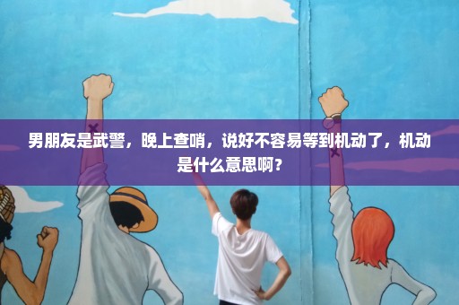 男朋友是武警，晚上查哨，说好不容易等到机动了，机动是什么意思啊？