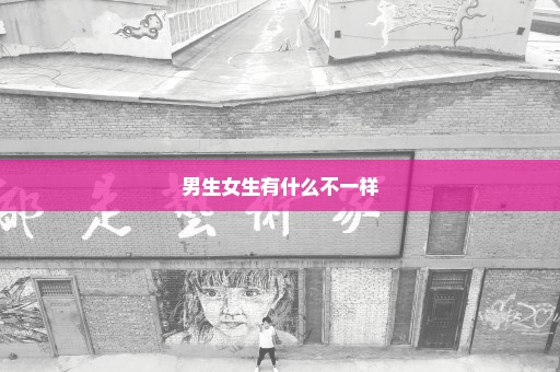 男生女生有什么不一样
