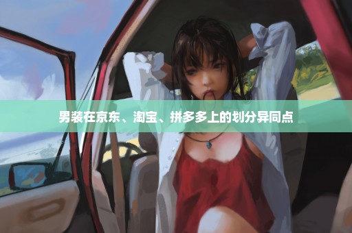男装在京东、淘宝、拼多多上的划分异同点