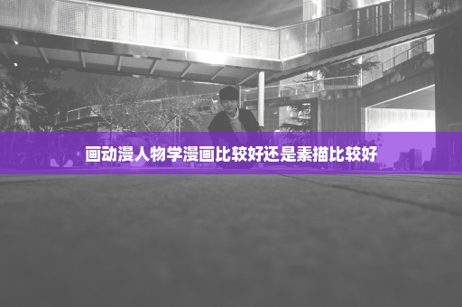 画动漫人物学漫画比较好还是素描比较好