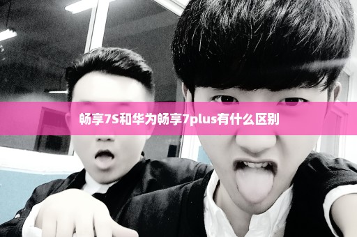 畅享7S和华为畅享7plus有什么区别