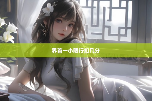 界首一小限行扣几分