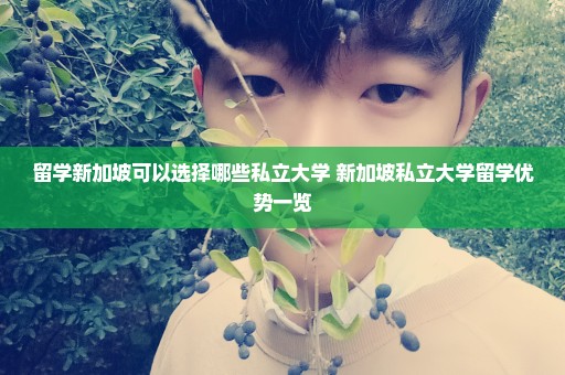 留学新加坡可以选择哪些私立大学 新加坡私立大学留学优势一览