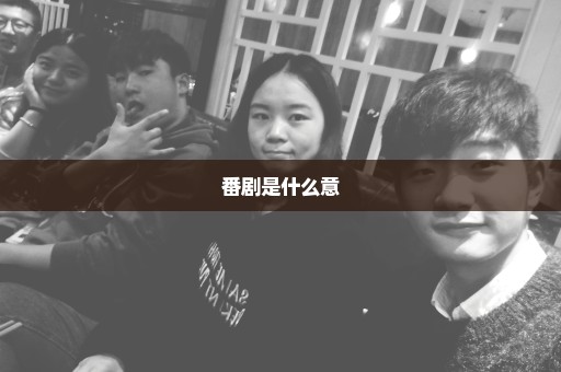 番剧是什么意
