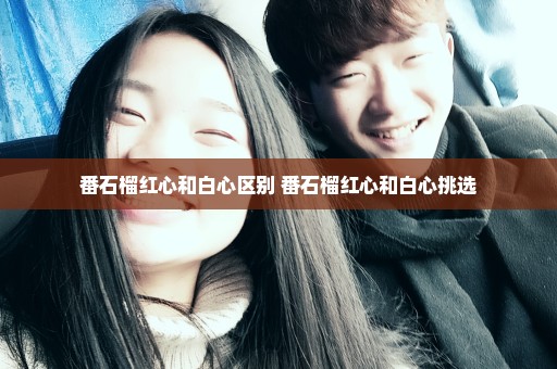 番石榴红心和白心区别 番石榴红心和白心挑选