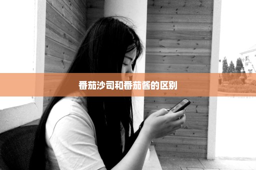 番茄沙司和番茄酱的区别