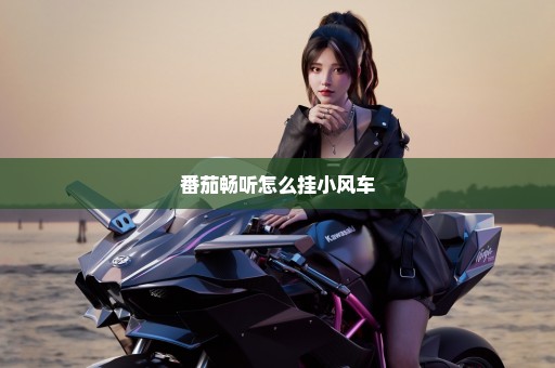 番茄畅听怎么挂小风车