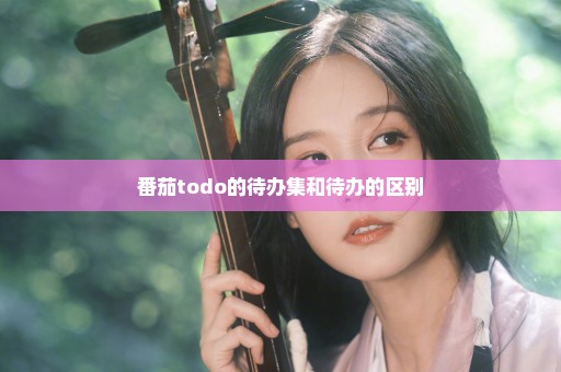 番茄todo的待办集和待办的区别