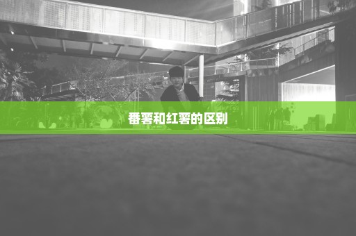 番薯和红薯的区别