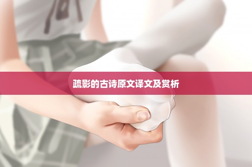 疏影的古诗原文译文及赏析