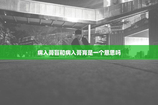 病入膏盲和病入膏肓是一个意思吗