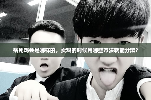 病死鸡会是哪样的，卖鸡的时候用哪些方法就能分辨？