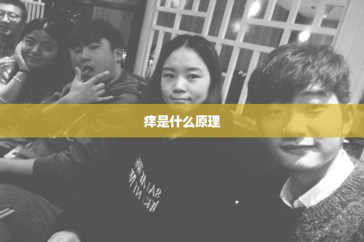 痒是什么原理