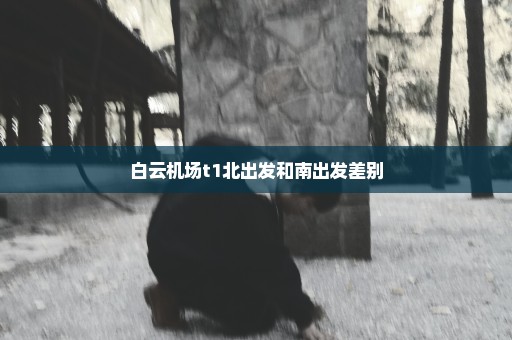 白云机场t1北出发和南出发差别