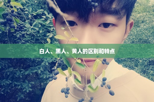 白人、黑人、黄人的区别和特点