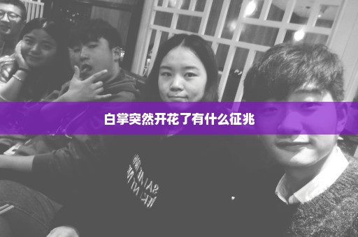 白掌突然开花了有什么征兆