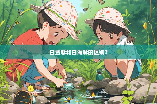 白暨豚和白海豚的区别？