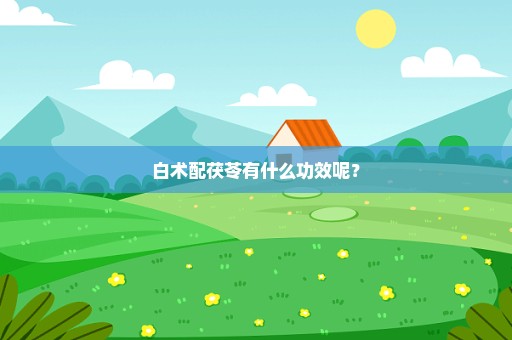白术配茯苓有什么功效呢？