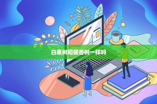 白果树和银杏树一样吗