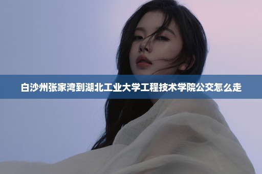 白沙州张家湾到湖北工业大学工程技术学院公交怎么走