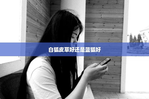 白狐皮草好还是蓝狐好
