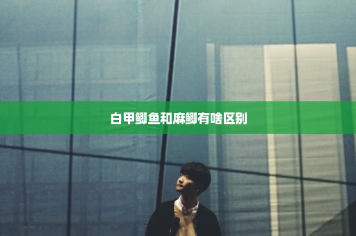 白甲鲫鱼和麻鲫有啥区别