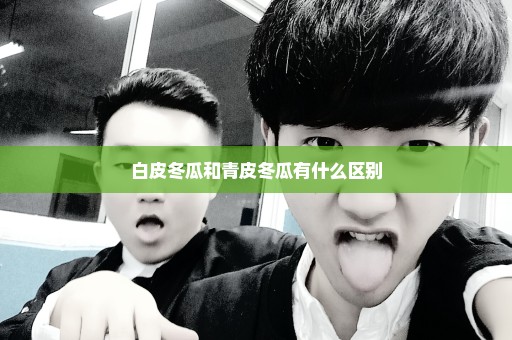 白皮冬瓜和青皮冬瓜有什么区别