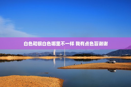 白色和银白色哪里不一样 我有点色盲谢谢