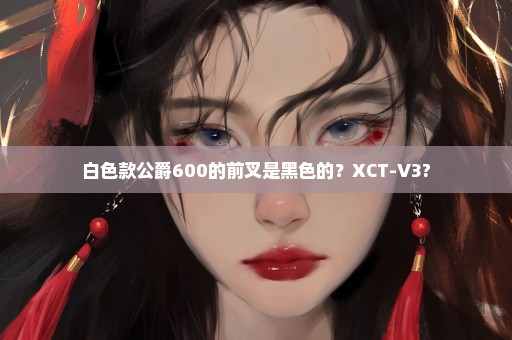 白色款公爵600的前叉是黑色的？XCT-V3?