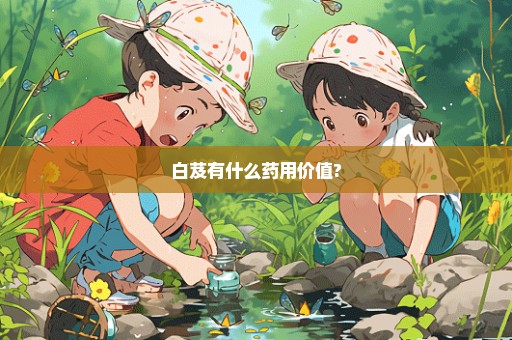 白芨有什么药用价值?