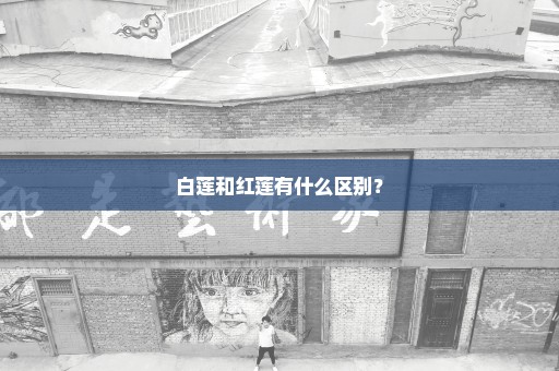 白莲和红莲有什么区别？